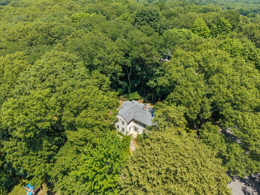 41 Locust Avenue Lexington, MA 02421 - Photo 33 of 34