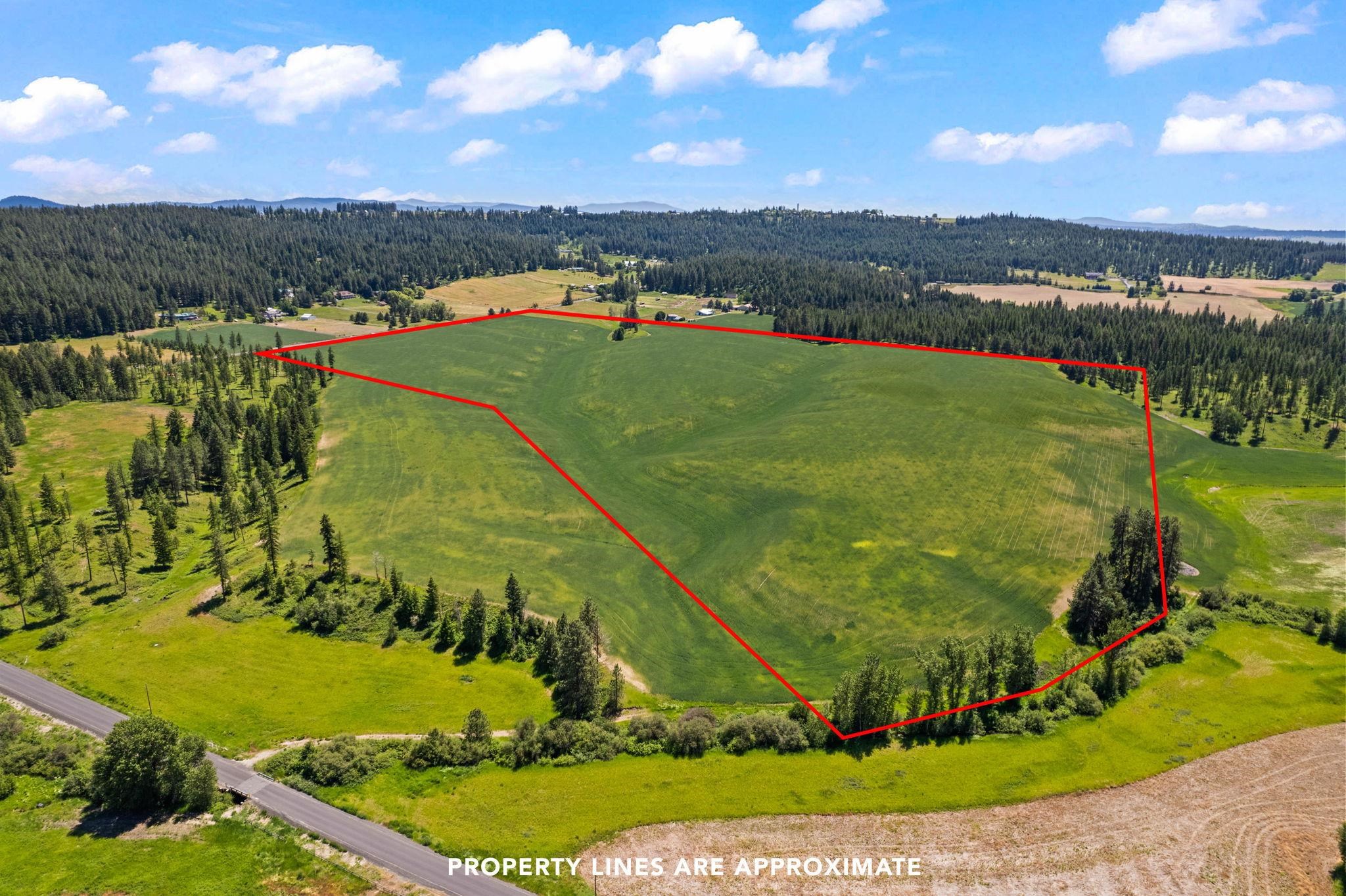 20141 North Bernhill Road Colbert, WA 99005 - Photo 4 of 16