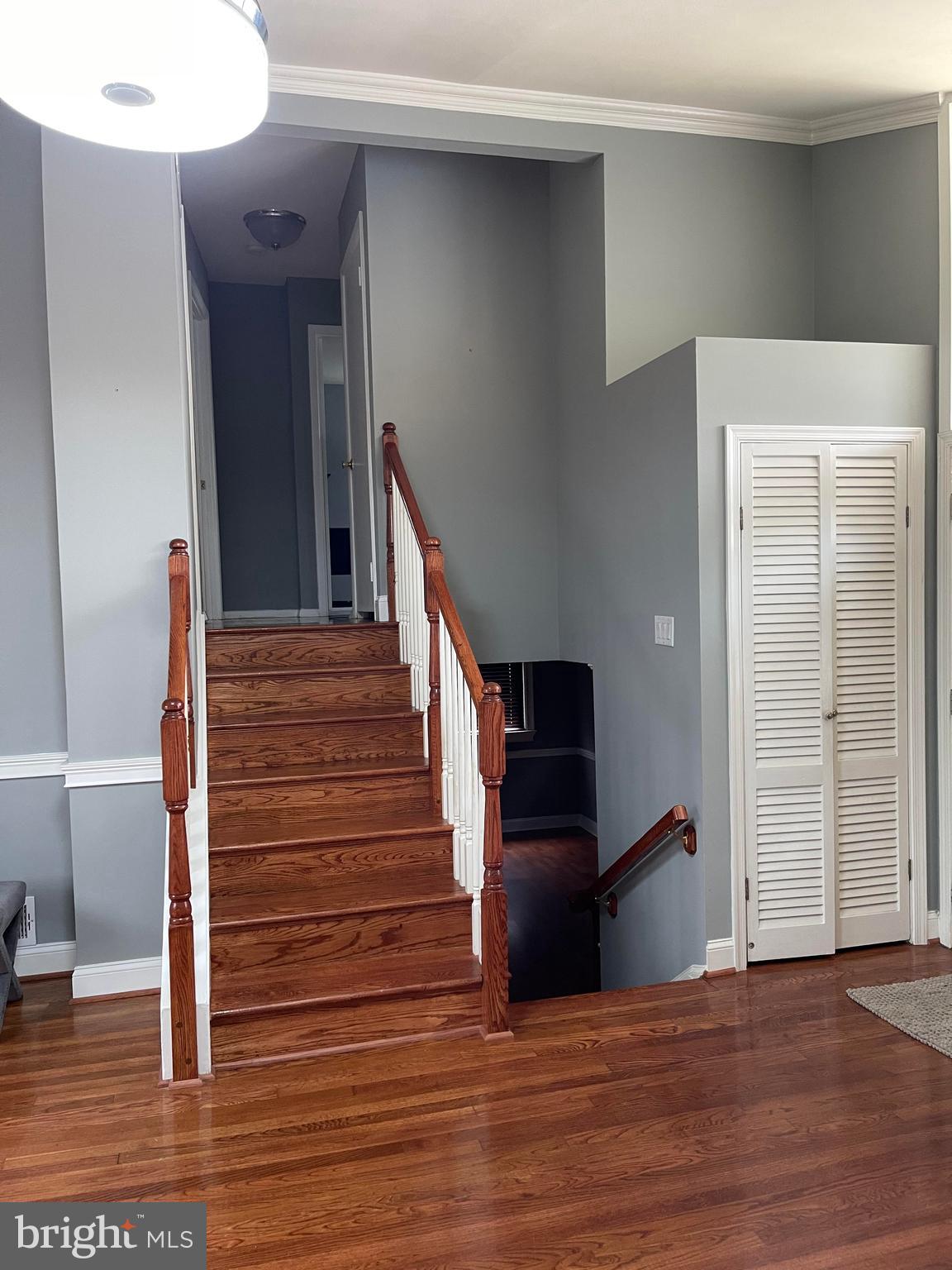 4110 Ferrara Drive Silver Spring, MD 20906 - Photo 4 of 33 Inside front, split level to lower level