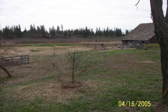 617 Front Street Cheney, WA 99004 - Photo 7 of 9
