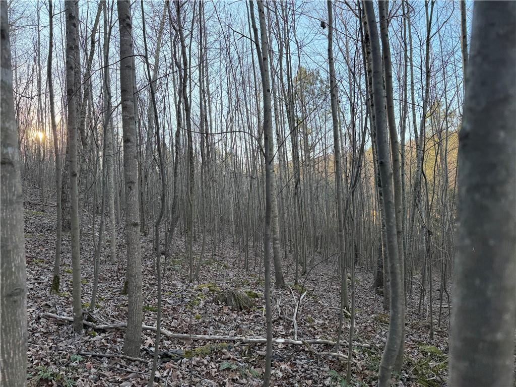 0 Rock Fence Road Northwest Adairsville, GA 30103 - Photo 11 of 14