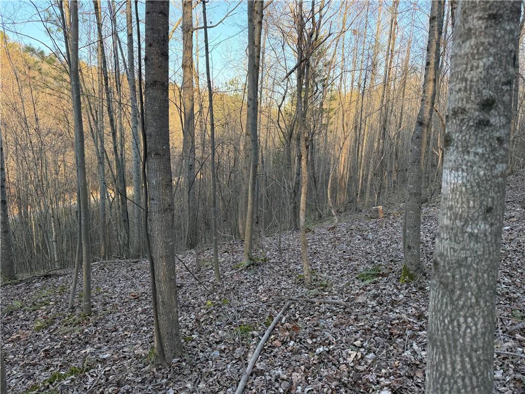 0 Rock Fence Road Northwest Adairsville, GA 30103 - Photo 12 of 14 a view of a backyard