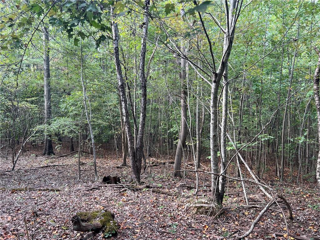 0 Rock Fence Road Northwest Adairsville, GA 30103 - Photo 13 of 14 a backyard of a house with lots of green space
