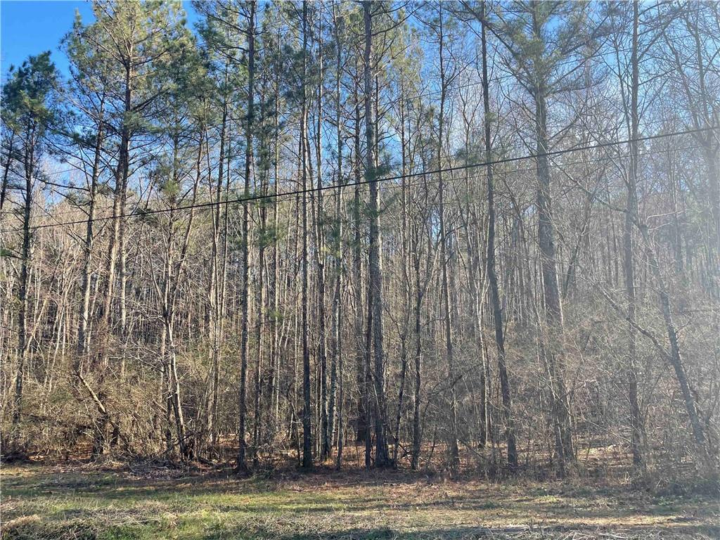 0 Rock Fence Road Northwest Adairsville, GA 30103 - Photo 6 of 14