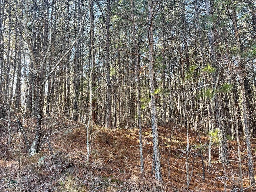 0 Rock Fence Road Northwest Adairsville, GA 30103 - Photo 8 of 14 a view of wooden fence