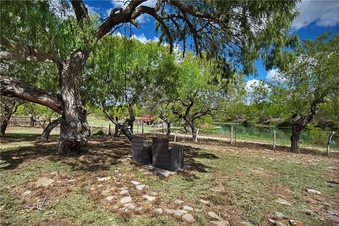 234 East Trant Road Kingsville, TX 78363 - Photo 26 of 32 a view of a backyard with large trees