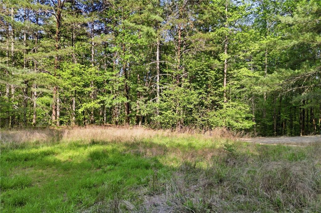 50 Mt Sequoyah Road Jasper, GA 30143 - Photo 4 of 13