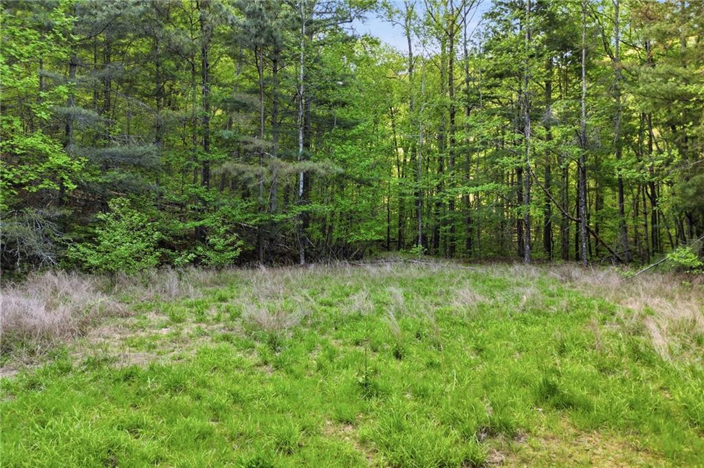 50 Mt Sequoyah Road Jasper, GA 30143 - Photo 5 of 13