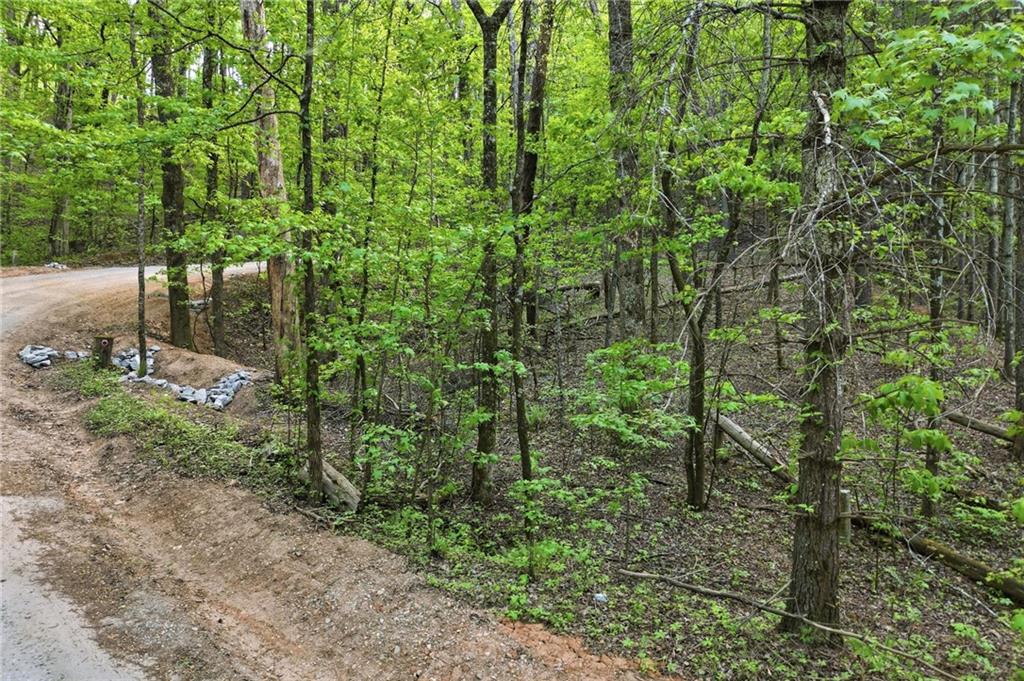 50 Mt Sequoyah Road Jasper, GA 30143 - Photo 6 of 13