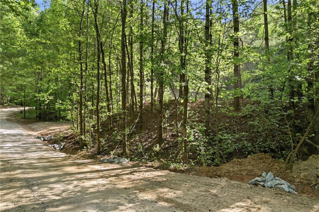 50 Mt Sequoyah Road Jasper, GA 30143 - Photo 7 of 13