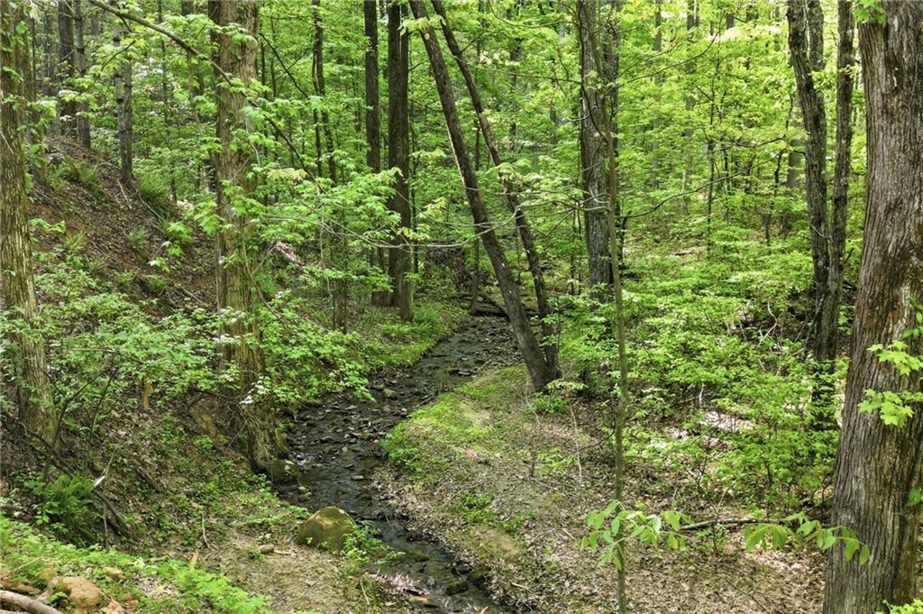 50 Mt Sequoyah Road Jasper, GA 30143 - Photo 8 of 13