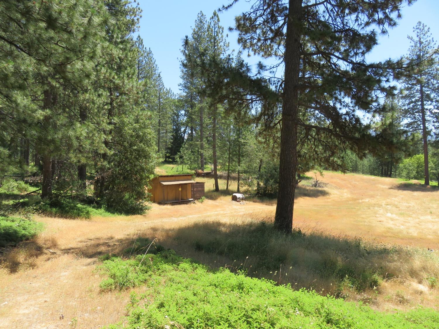4426 Bald Mountain Road West Point, CA 95255 - Photo 15 of 45 a view of backyard with outdoor space