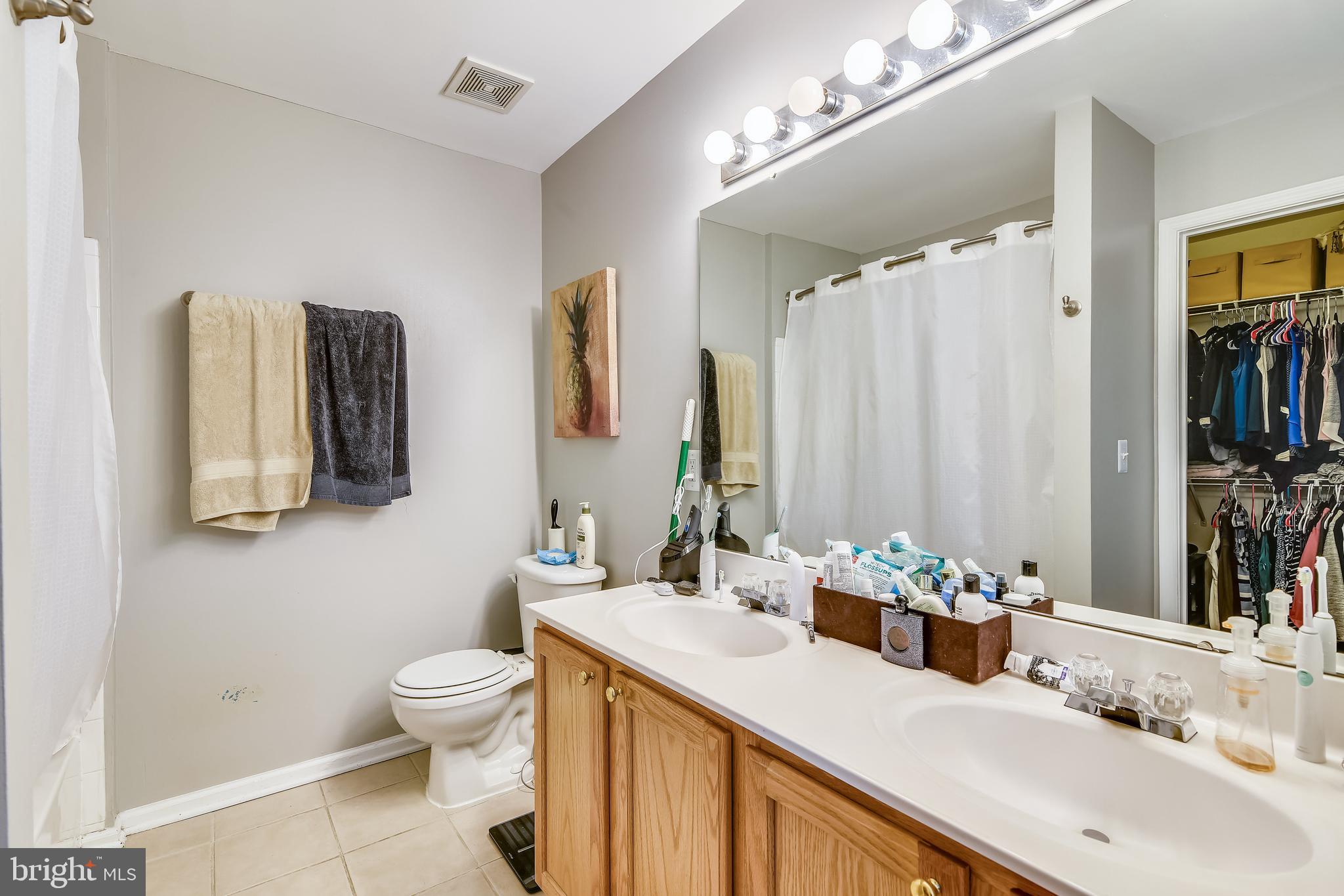 19206 Sweig Terrace Leesburg, VA 20176 - Photo 24 of 84 Private master bath