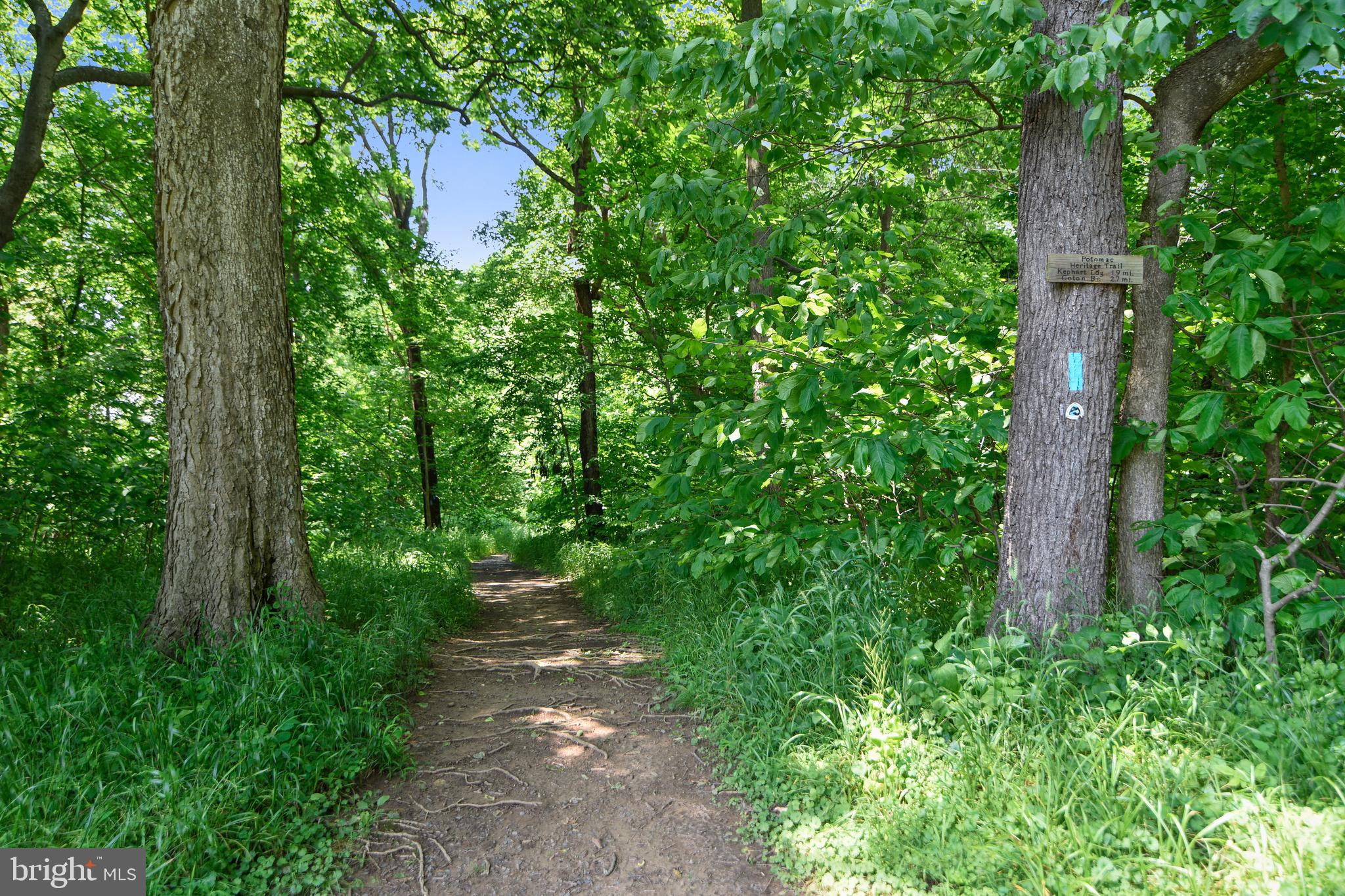 19206 Sweig Terrace Leesburg, VA 20176 - Photo 77 of 84