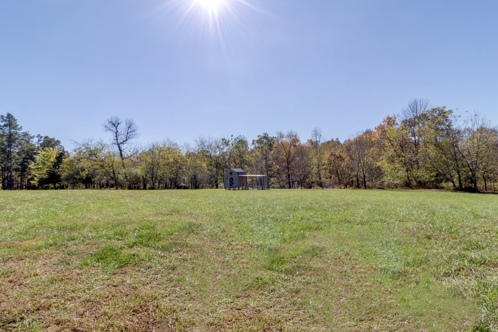 4436 Poplar Springs Road Indian Mound, TN 37079 - Photo 32 of 34 Gallery Image 32