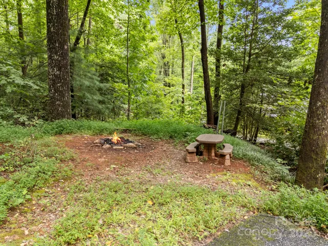 a view of a bench in a garden