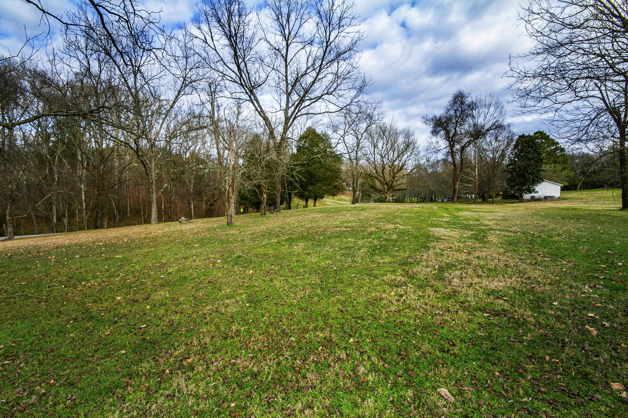 1459 Roberson Spring Road Loudon, TN 37774 - Photo 31 of 35 IMG_0048