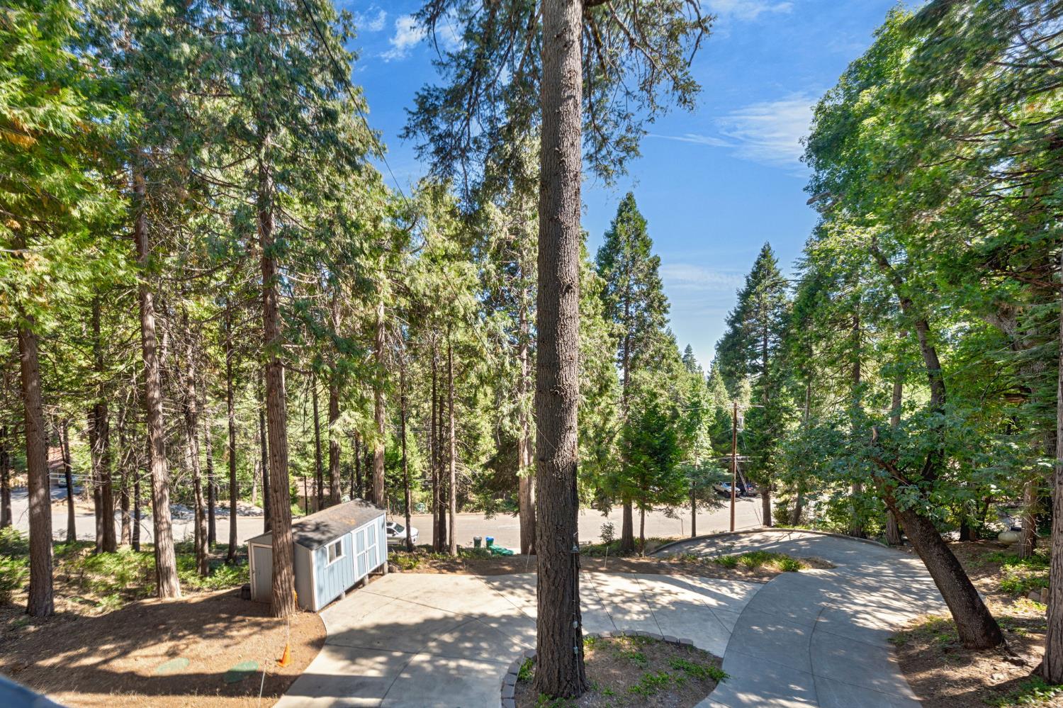 3960 Garnet Road Pollock Pines, CA 95726 - Photo 9 of 50 a view of a street with some trees