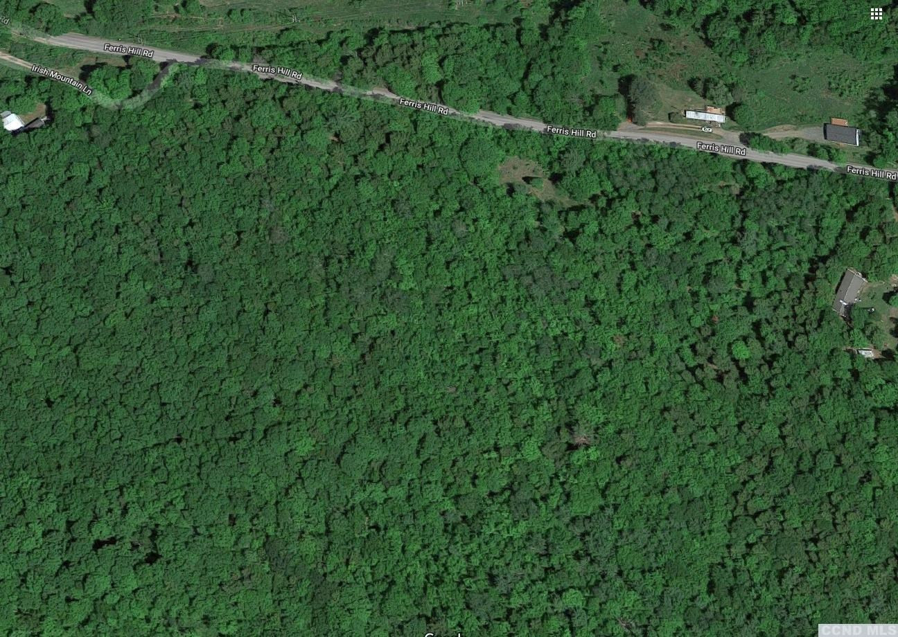 0 Ferris Hill Road Grand Gorge, NY 12434 - Photo 2 of 10 Photo 2