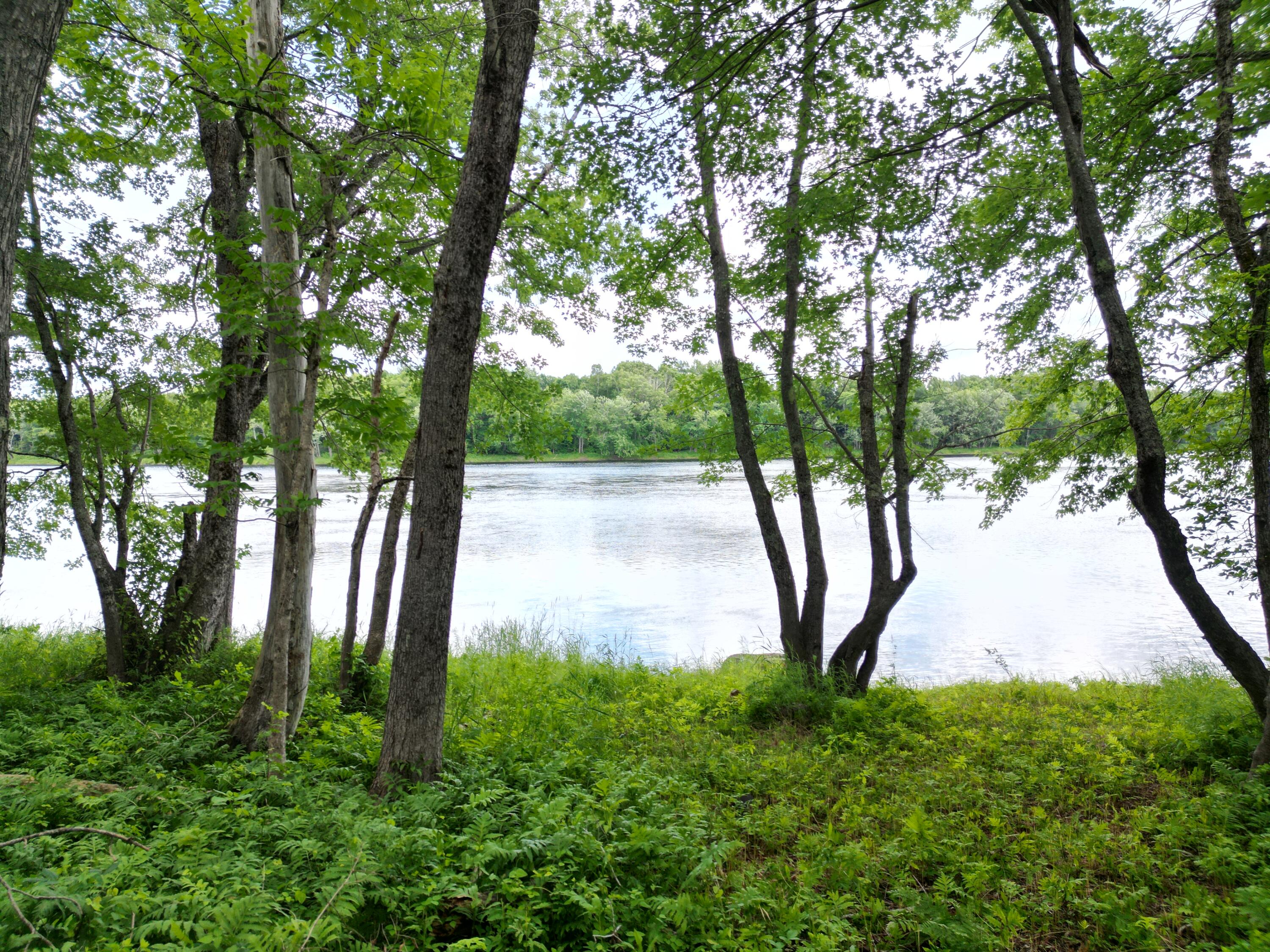 Lot 19 North Chester Road Lincoln, ME 04457 - Photo 3 of 17 DJI_0006