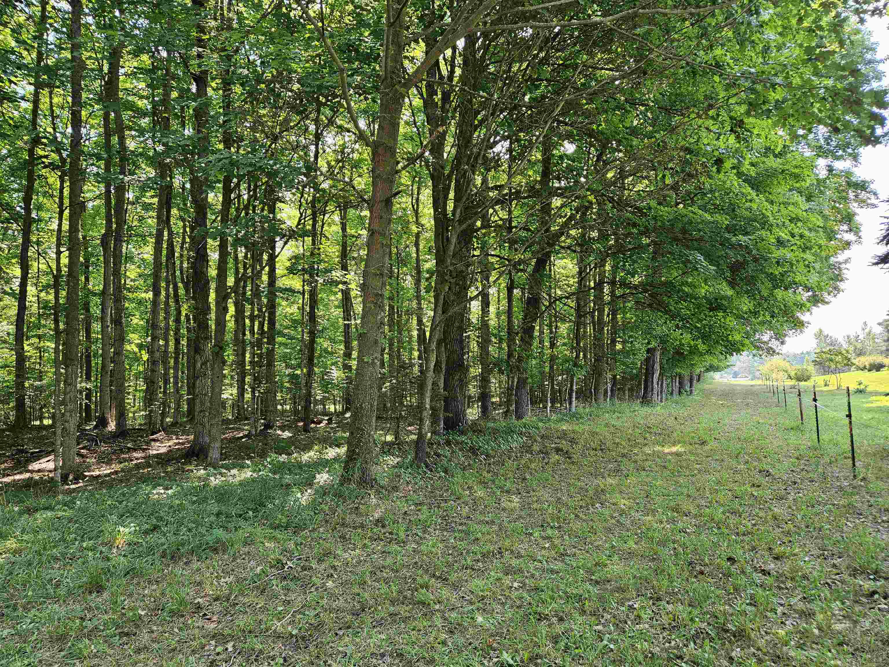 Tbd Tbd Willsey Road Traverse City, MI 49696 - Photo 16 of 22