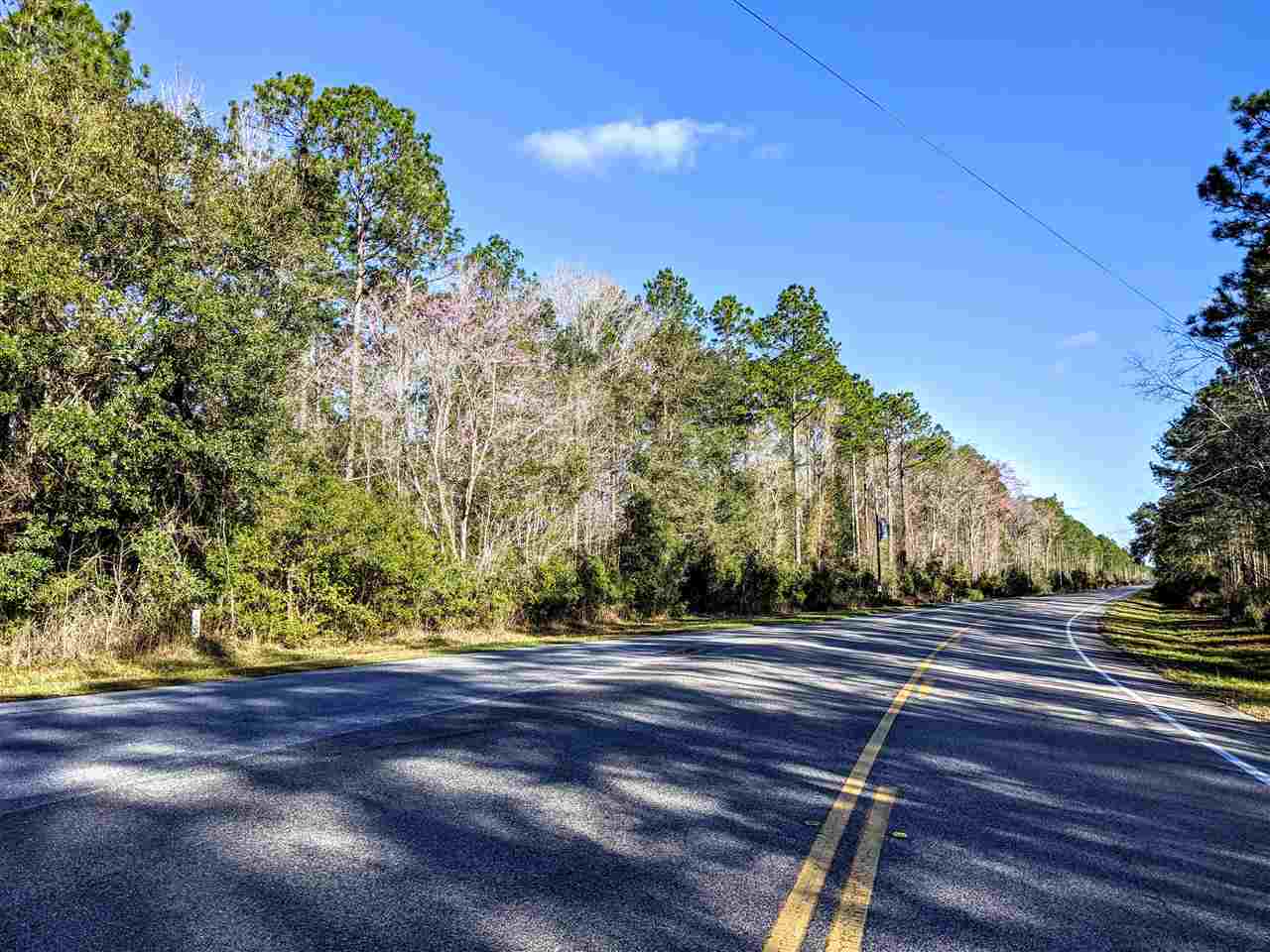 Vacant Gamble Road Monticello, FL 32344 - Photo 16 of 32 Gallery Image 16