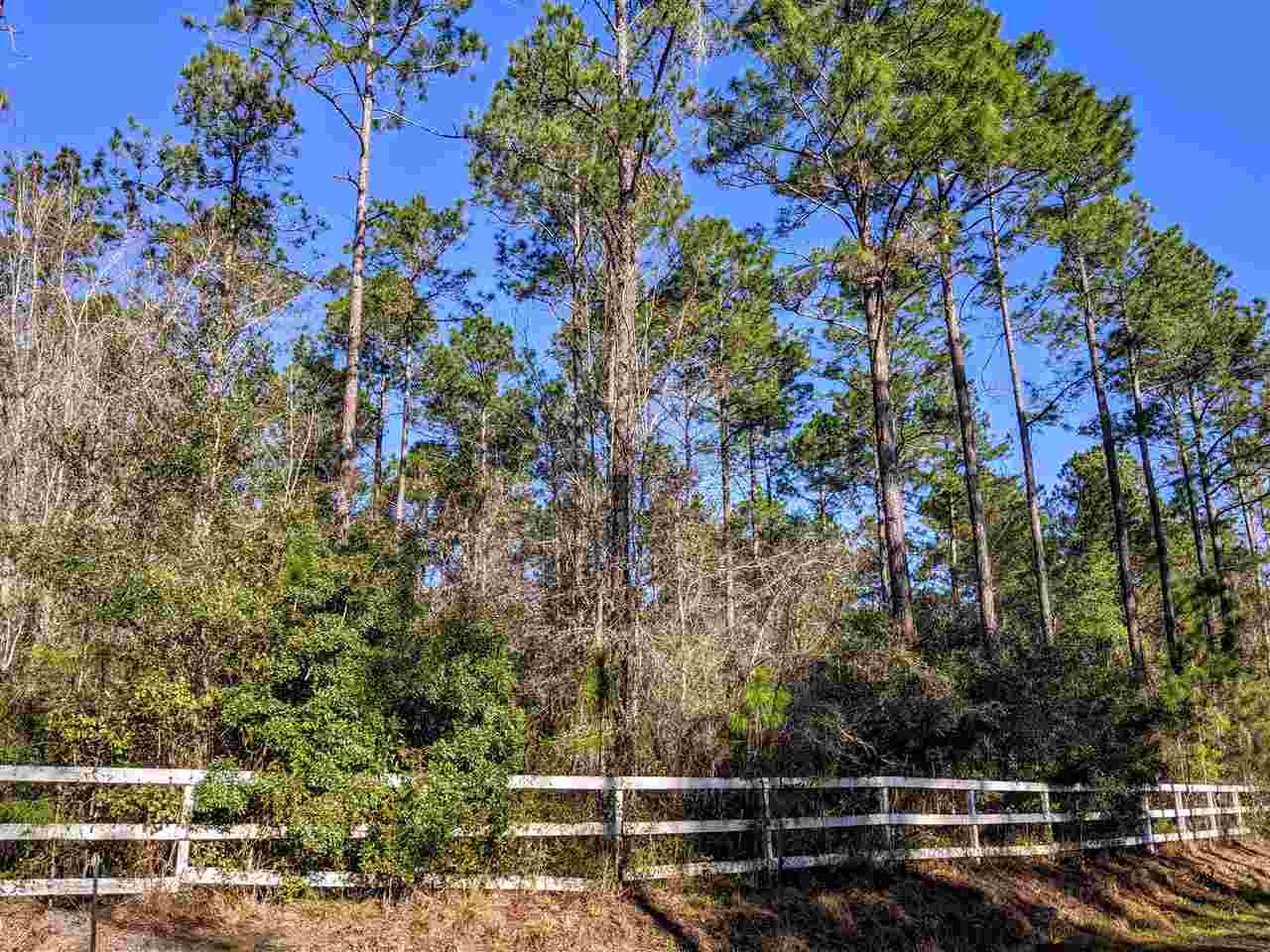Vacant Gamble Road Monticello, FL 32344 - Photo 19 of 32 Gallery Image 19