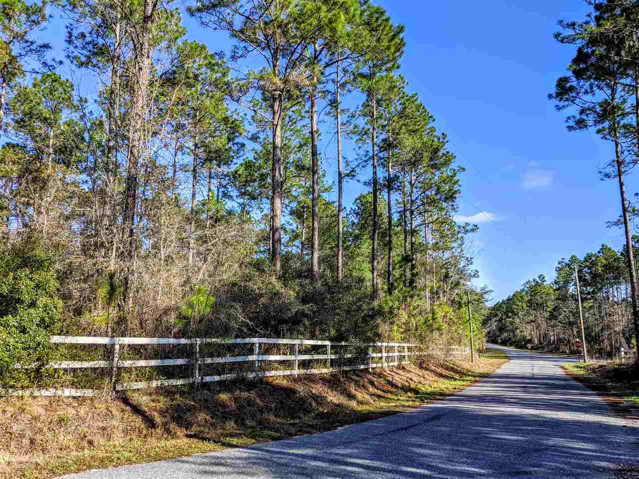 Vacant Gamble Road Monticello, FL 32344 - Photo 20 of 32 Gallery Image 20