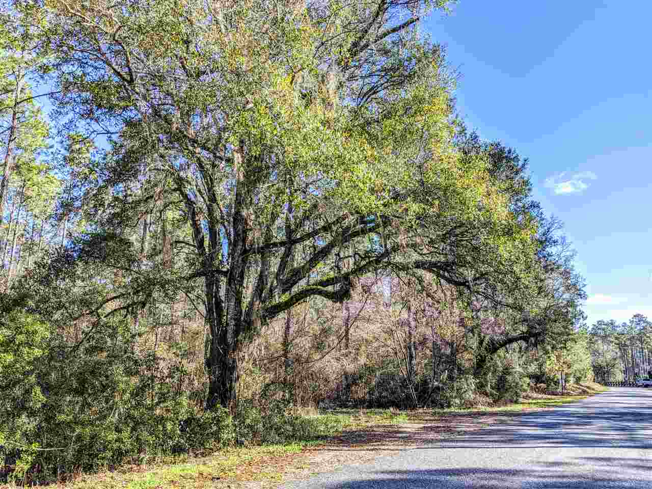 Vacant Gamble Road Monticello, FL 32344 - Photo 6 of 32 Gallery Image 6