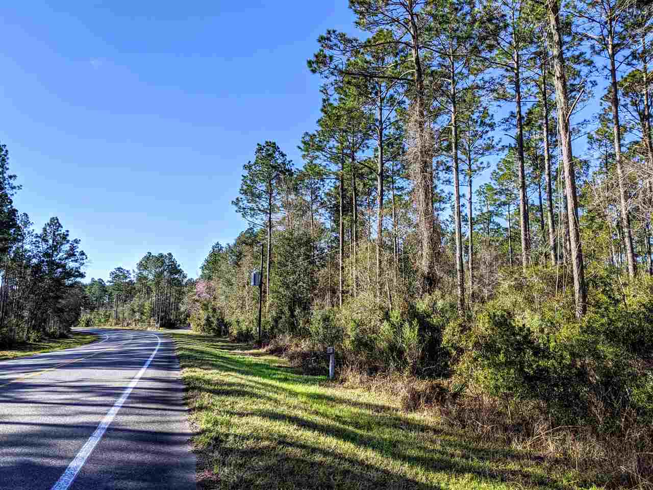 Vacant Gamble Road Monticello, FL 32344 - Photo 8 of 32 Gallery Image 8