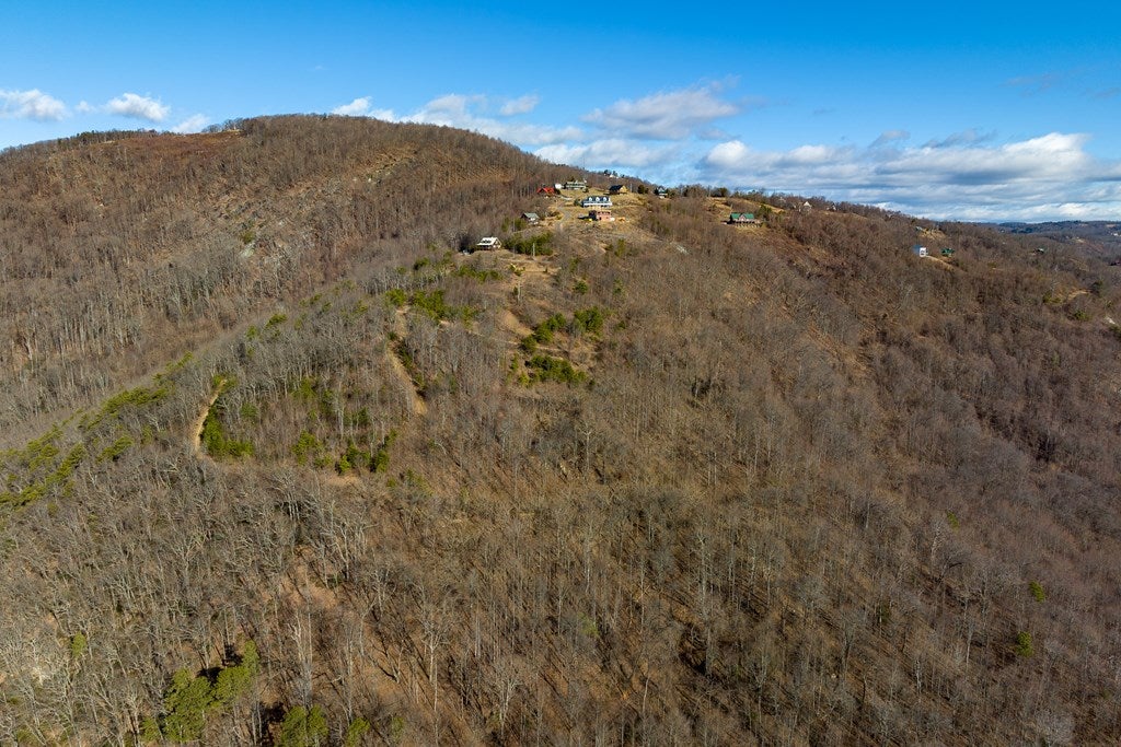 Lot 93 Reflections Point Trail, Unit 93 Fancy Gap, VA 24328 - Photo 28 of 92 Gallery Image 28