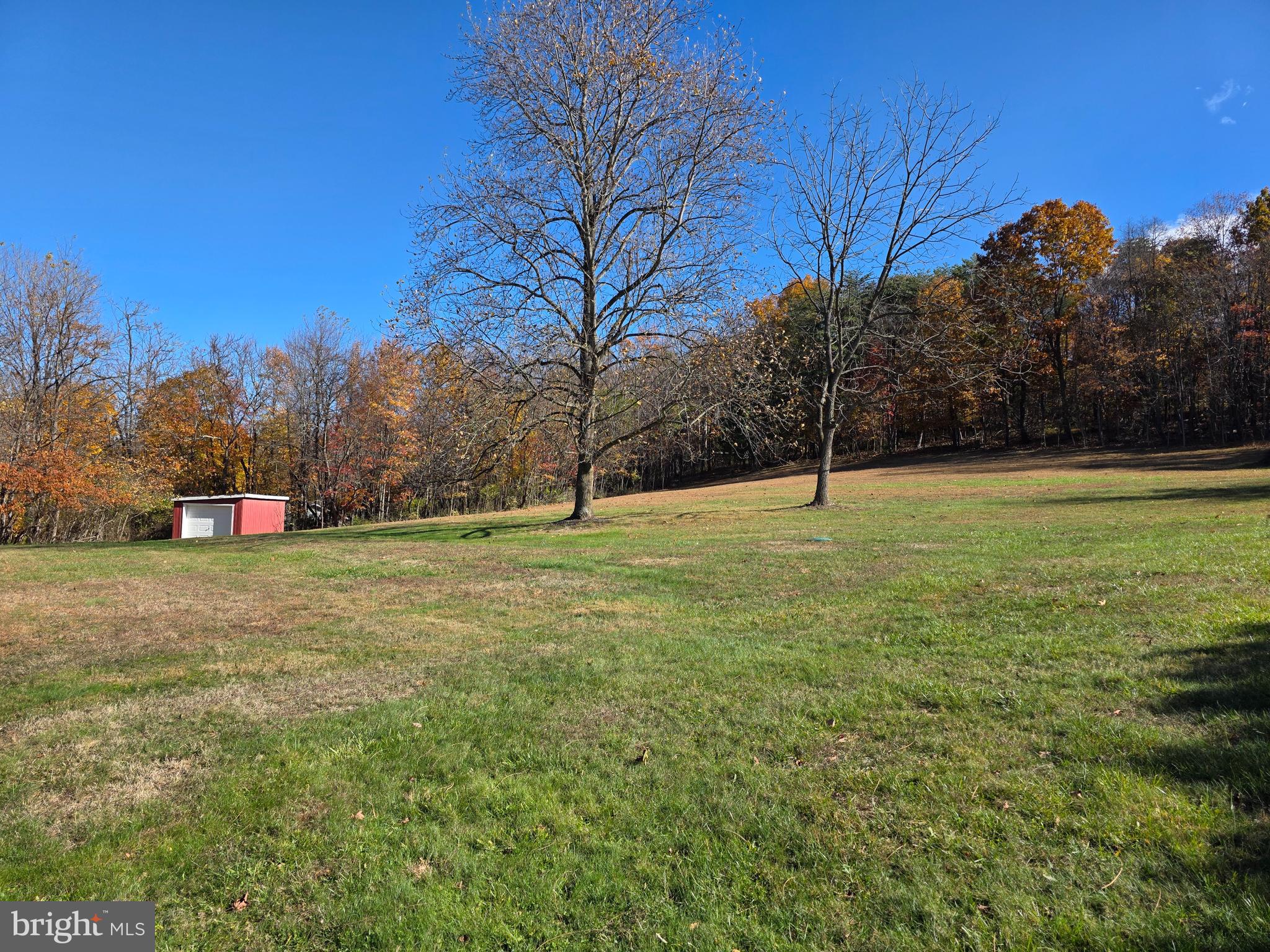 951 Johnsons Mill Road Berkeley Springs, WV 25411 - Photo 63 of 66 a view of outdoor space with garden and trees