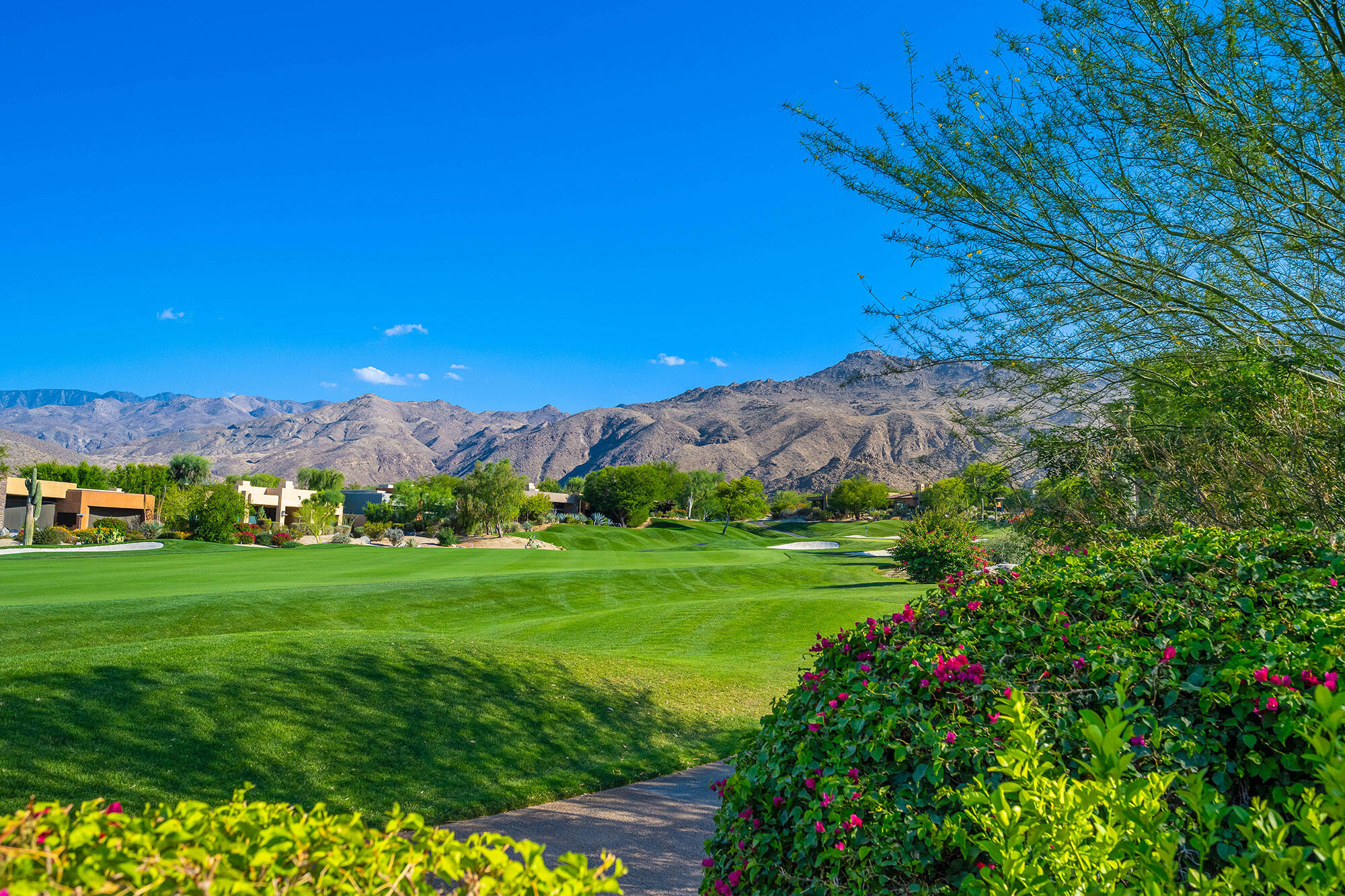 178 Wikil Place Palm Desert, CA 92260 - Photo 12 of 15 a view of a garden with a building in the background