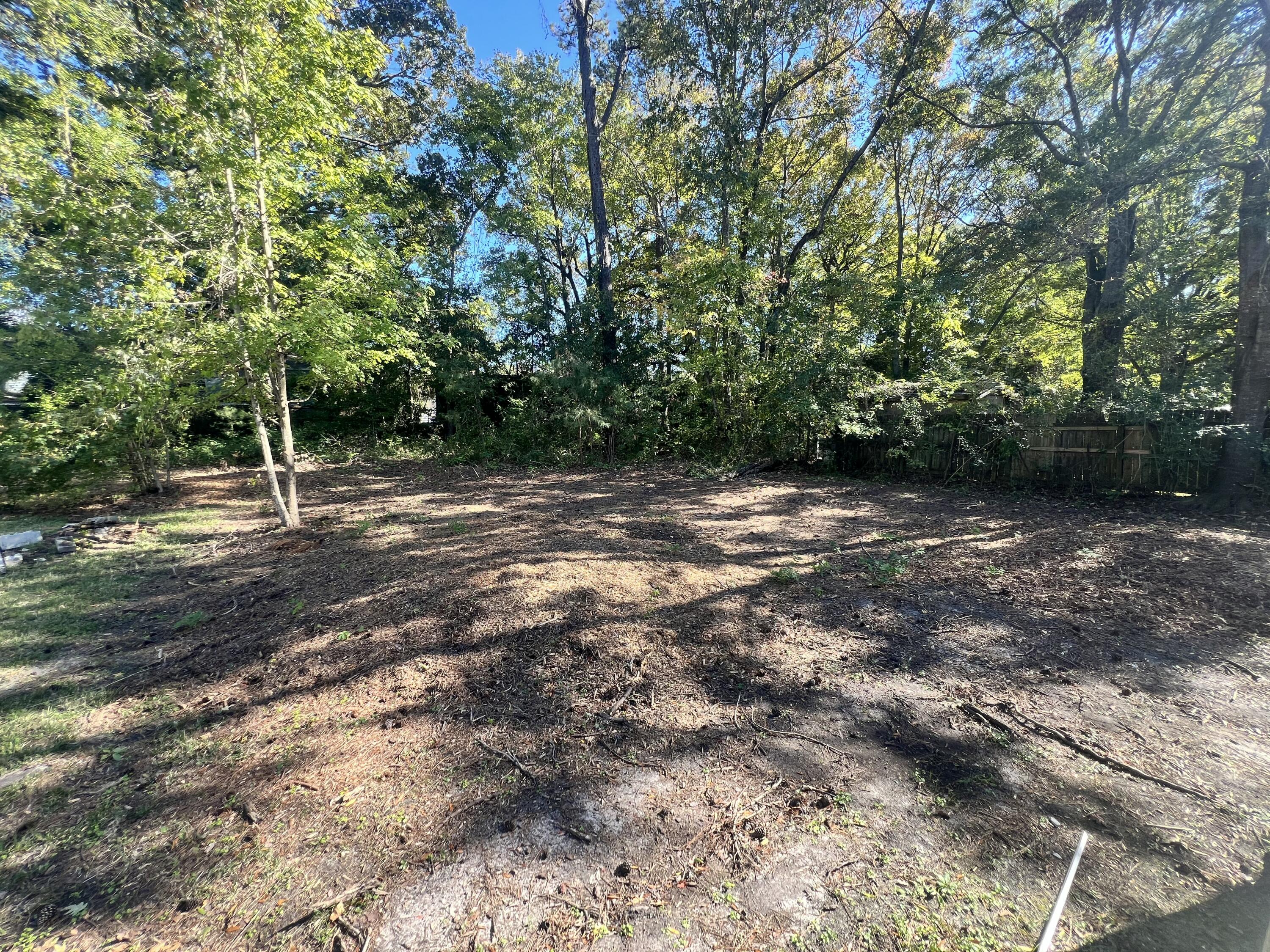 332 Howle Avenue, Unit B Charleston, SC 29412 - Photo 12 of 12 Backyard