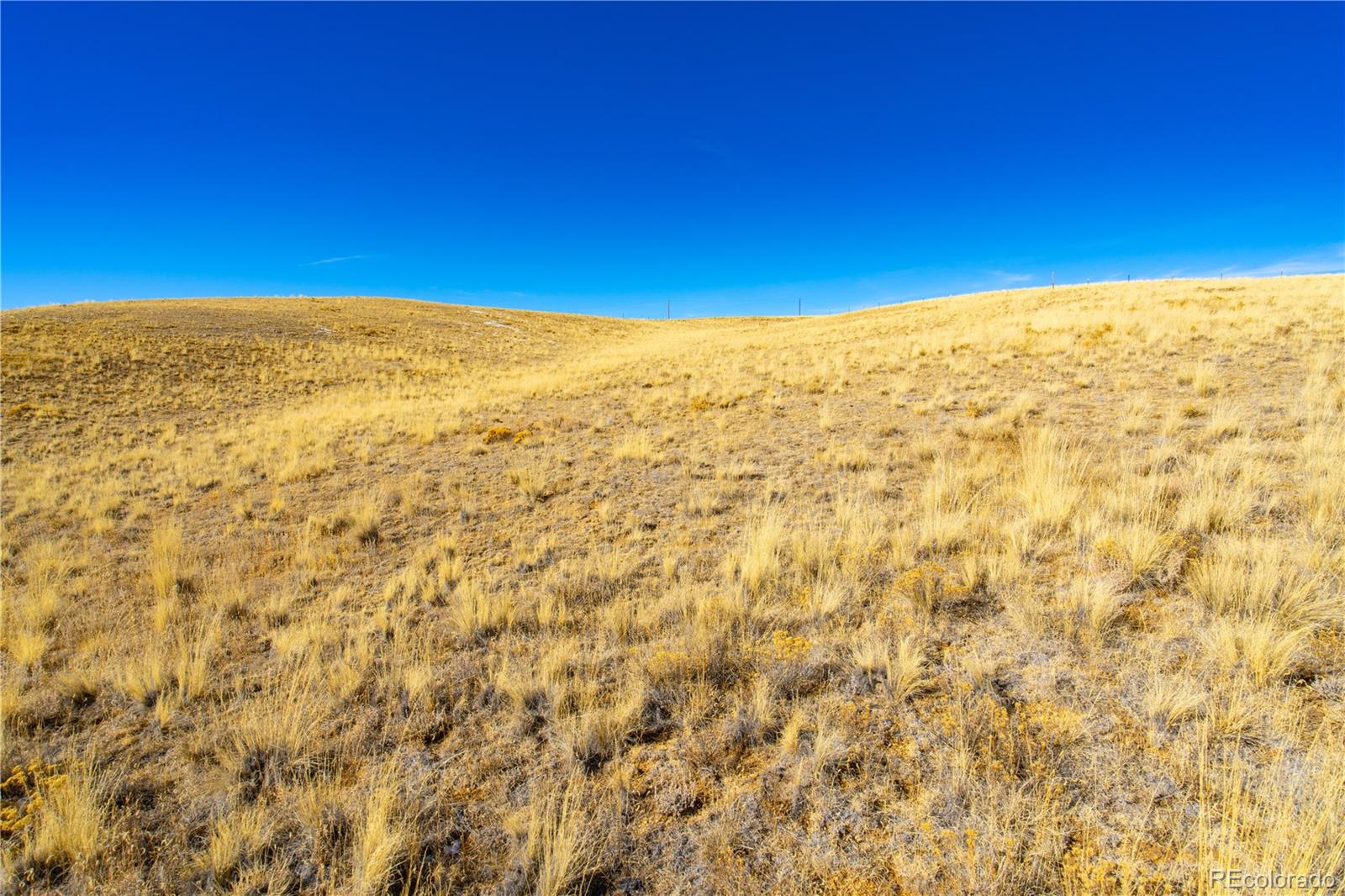 963 Rhyolite Drive Como, CO 80432 - Photo 17 of 18 a view of an empty room