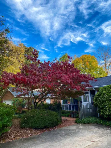 a kitchen with kitchen island a sink appliances and wooden floor