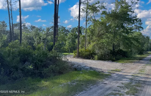 a view of a road with a tree