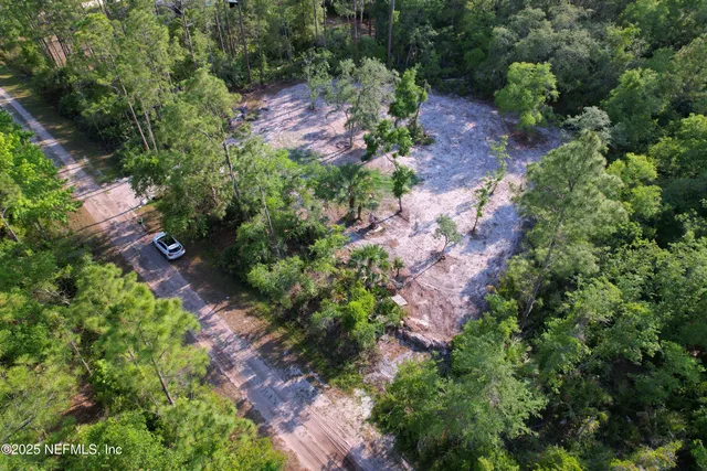 a view of a garden with plants