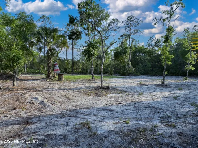 a view of a tree in a park