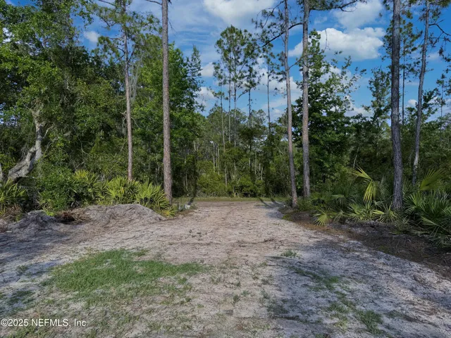 a view of a forest with trees