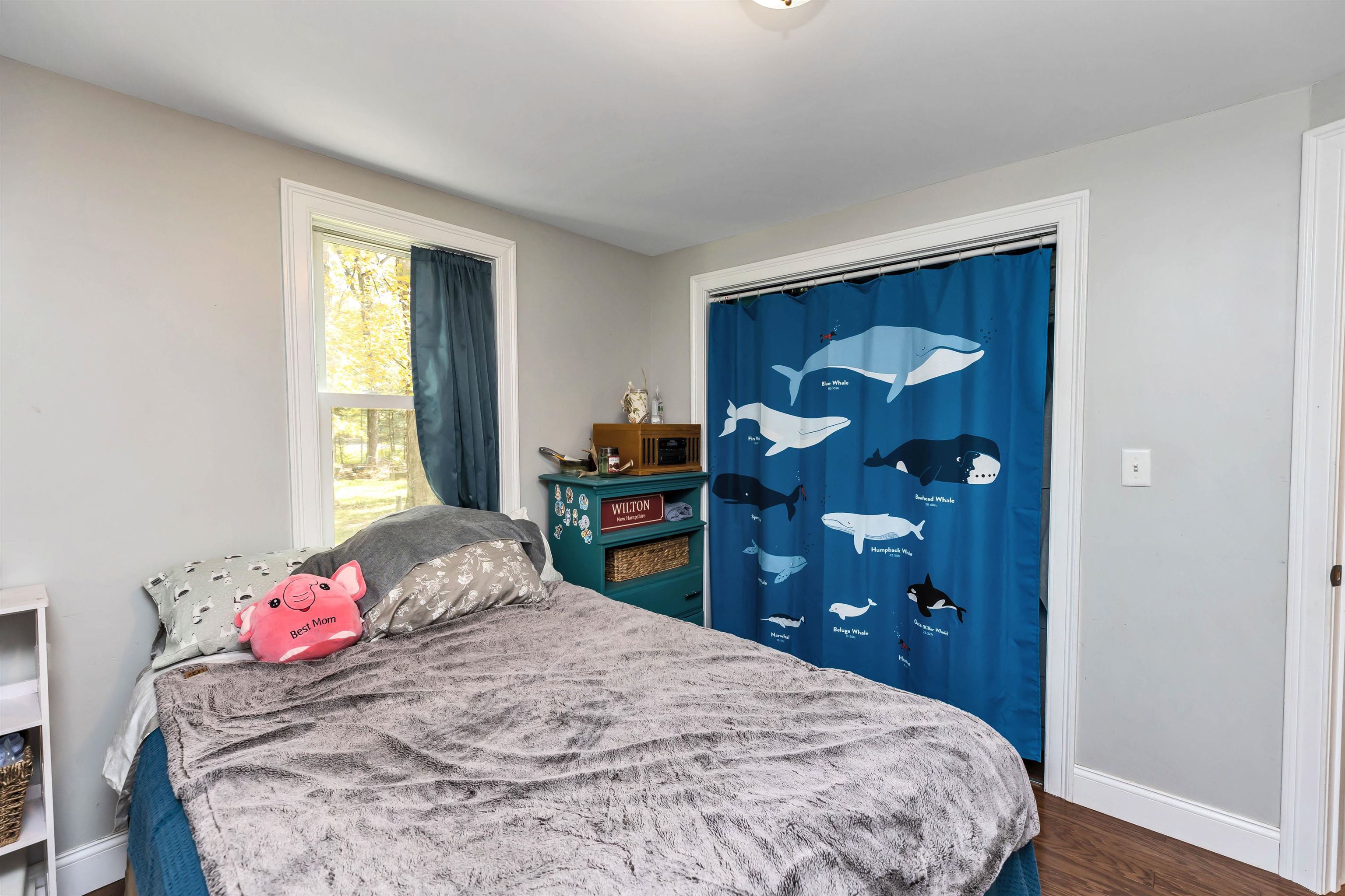 37 West Intervale Road Wilton, NH 03086 - Photo 8 of 40