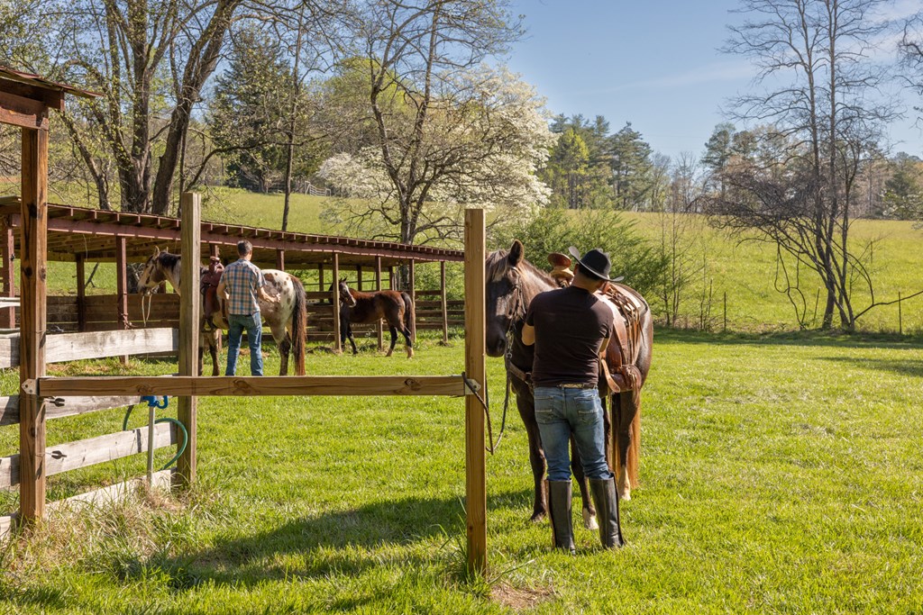 853 Caler Road Brasstown, NC 28902 - Photo 112 of 122 Gallery Image 112