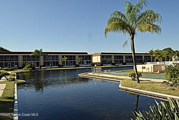a view of swimming pool with chairs