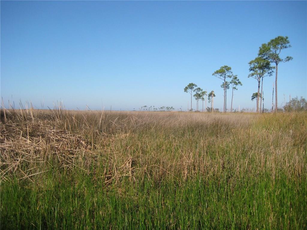 Lot 12 Lake Road Lacombe, LA 70445 - Photo 6 of 7 Gallery Image 6