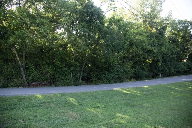 a view of green field with trees in the background
