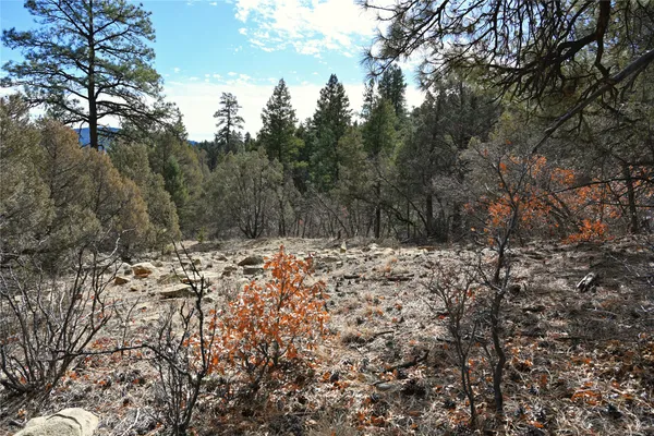 $19,500 | 0 Bear Rd Cr, Unit D1 LOT 12, Tierra Amarilla, NM 87575