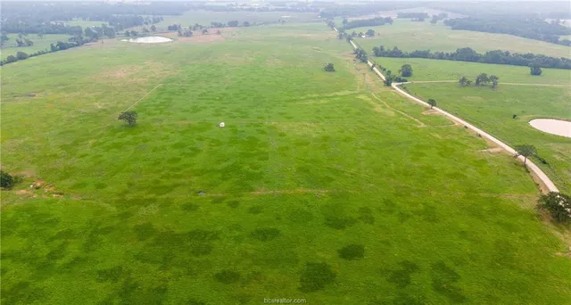 a view of a field with an ocean
