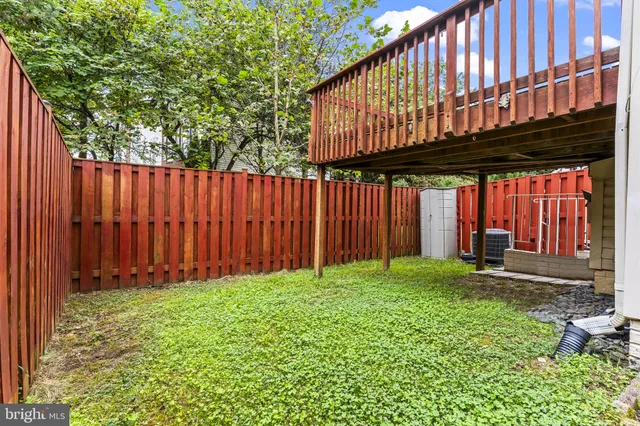 a view of a backyard with plants and a large tree
