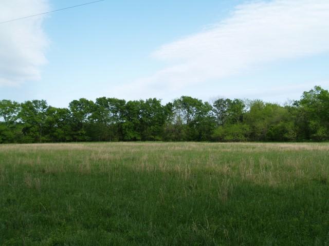 8 B B Dodson Road Columbia, TN 38401 - Photo 1 of 6