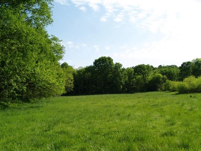 8 B B Dodson Road Columbia, TN 38401 - Photo 3 of 6